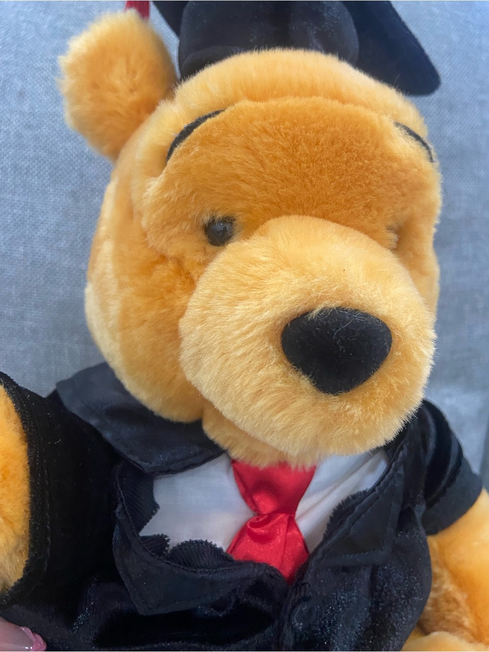 Disney Vintage Winnie The Pooh Graduation Plush - Picture 2 of 9